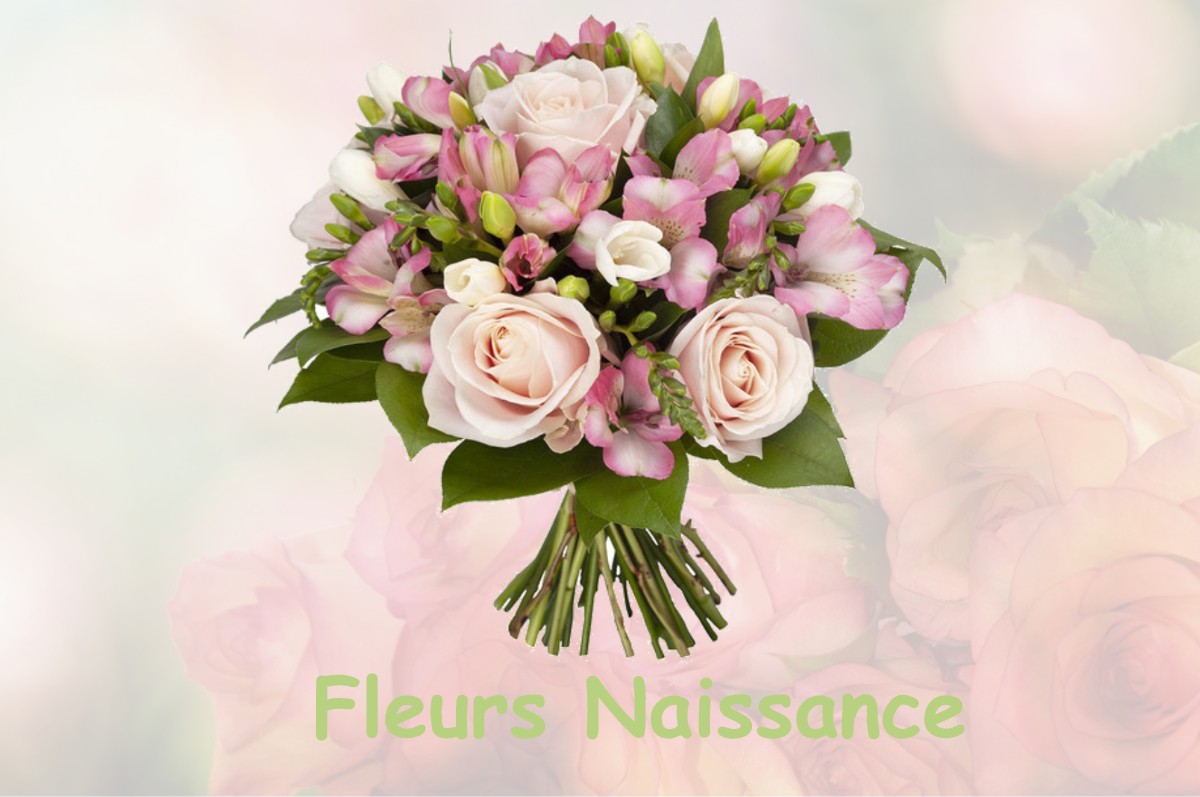 fleurs naissance MONTBOUY