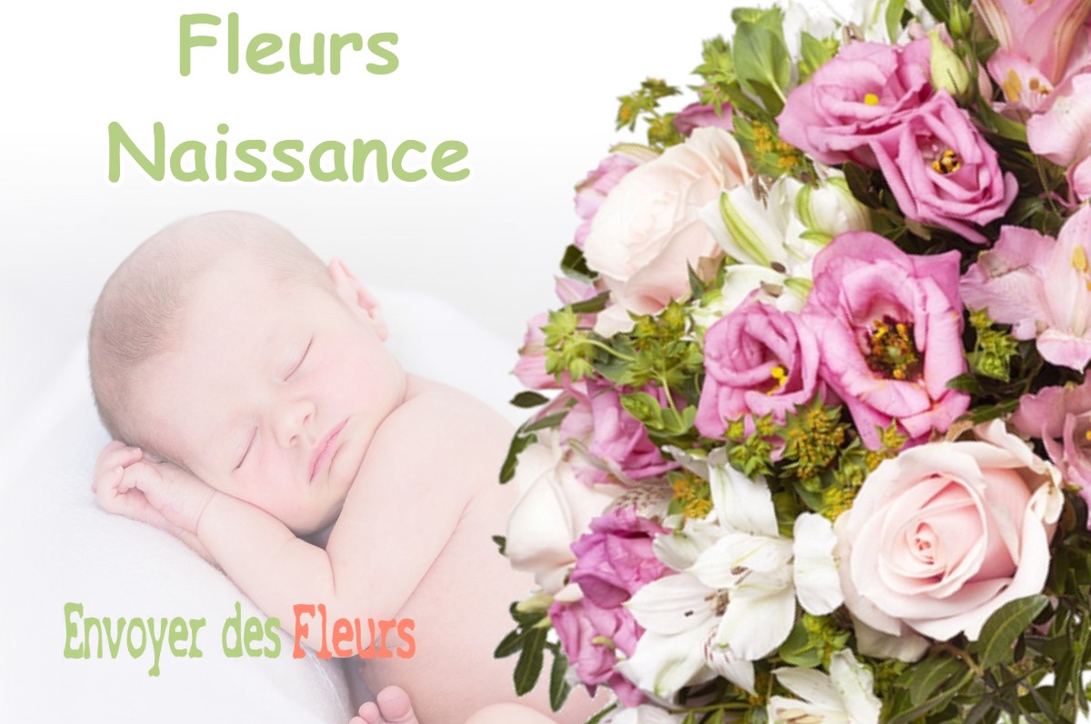 lIVRAISON FLEURS NAISSANCE à MONTBOUY